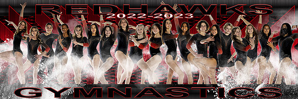 8x24shs_TEAM  Panoramic LARGE