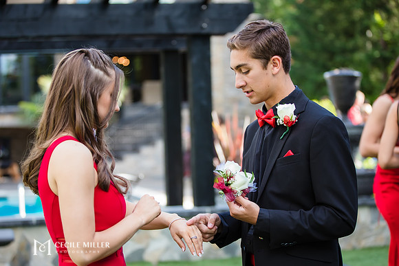 RHSprom-036