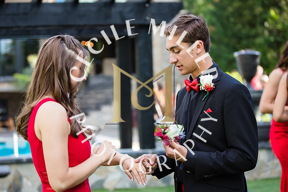 RHSprom-036