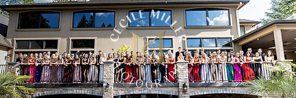 RHSprom-220