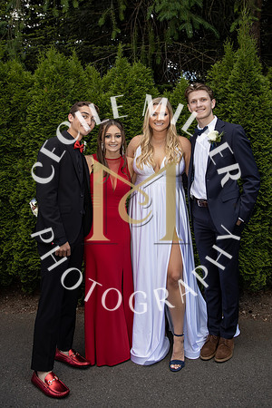 RHSprom-241