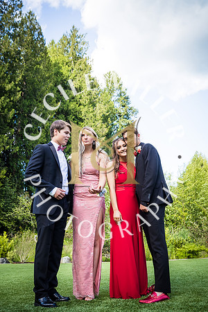 RHSprom-255