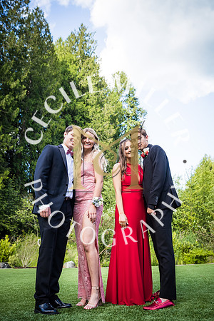 RHSprom-256