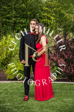 RHSprom-305