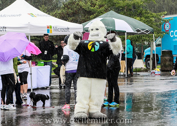 yeti20130068